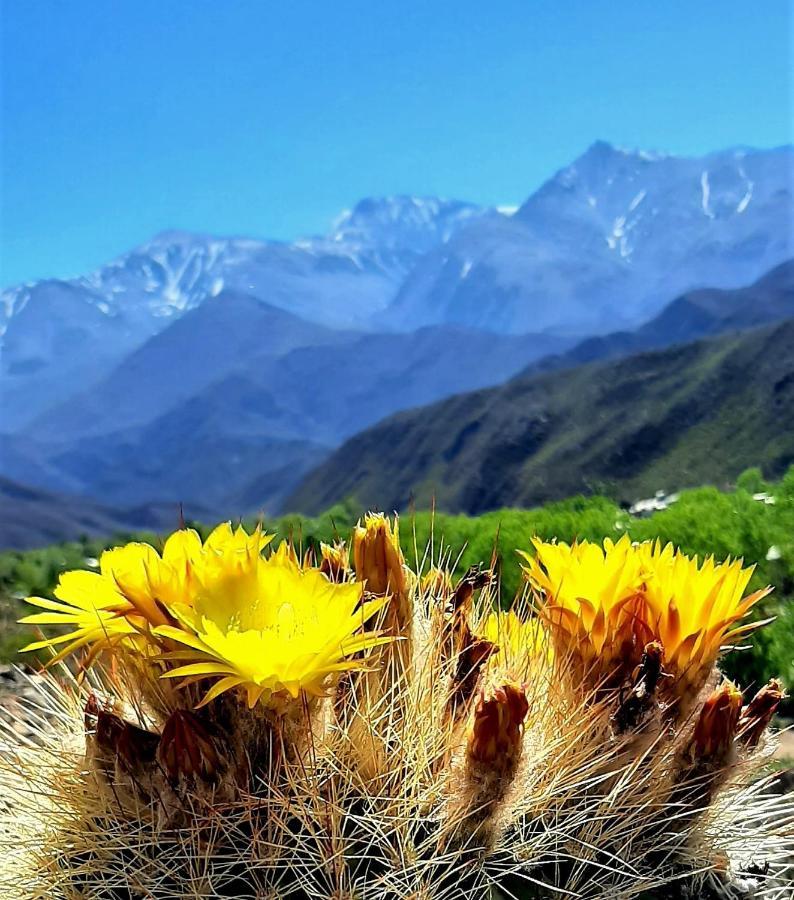 Arribadelvalle - Casas De Altura Potrerillos Dış mekan fotoğraf