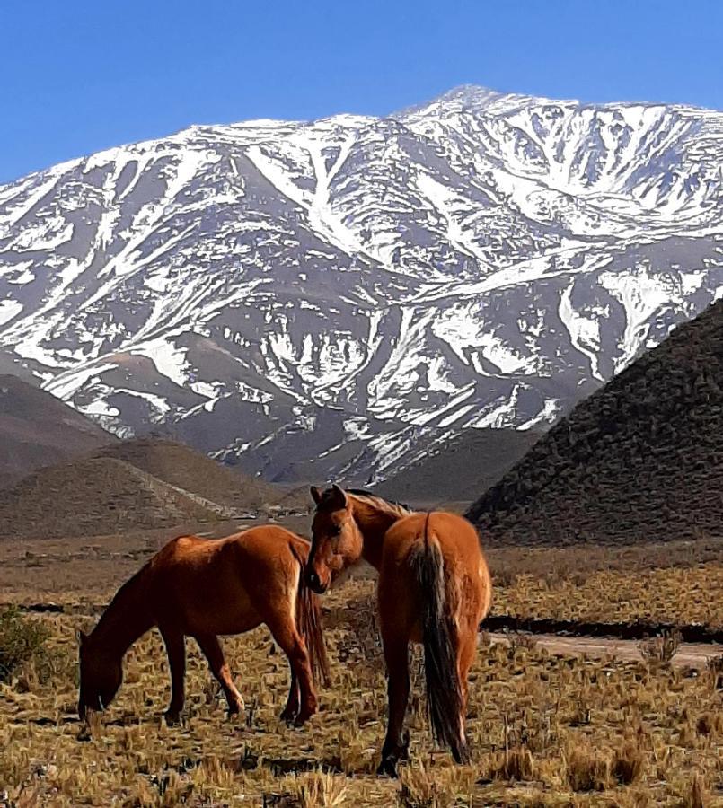 Arribadelvalle - Casas De Altura Potrerillos Dış mekan fotoğraf