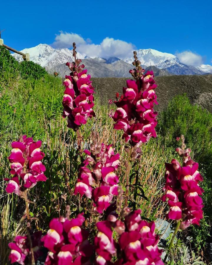 Arribadelvalle - Casas De Altura Potrerillos Dış mekan fotoğraf